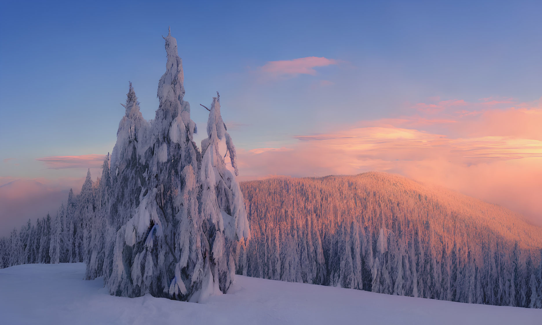 Winter sunset scene: snow-covered trees, pink clouds, frosty mountain forest.