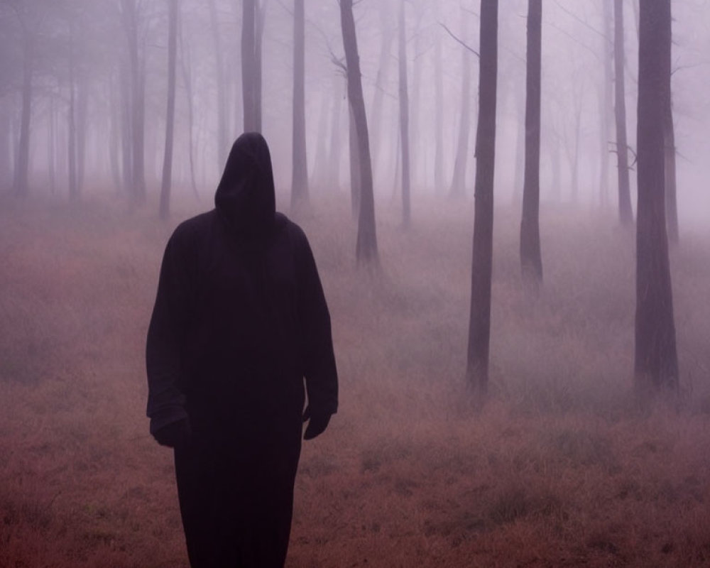Cloaked Figure in Misty Forest Landscape