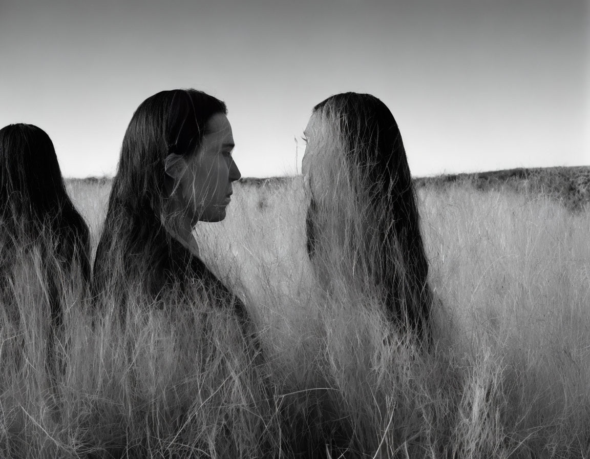 Monochrome silhouette profiles of women in tall grass field