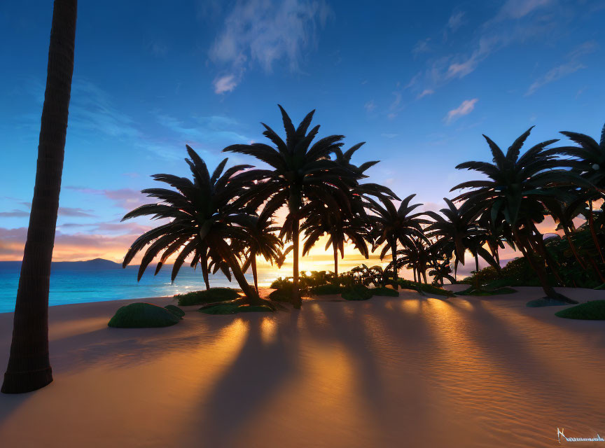 Tropical beach sunset with palm trees and vivid skies