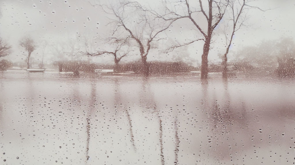 Blurred bare trees and wet ground in winter rainstorm