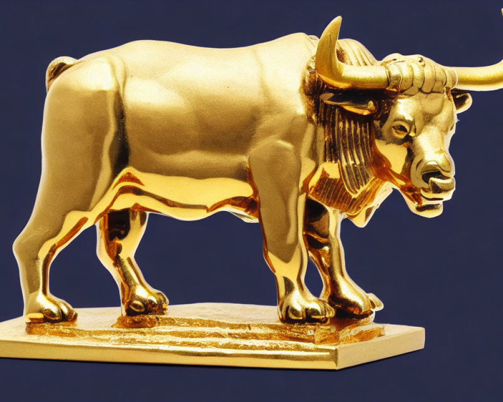 Shiny gold bull statue with horns and muscles on blue background