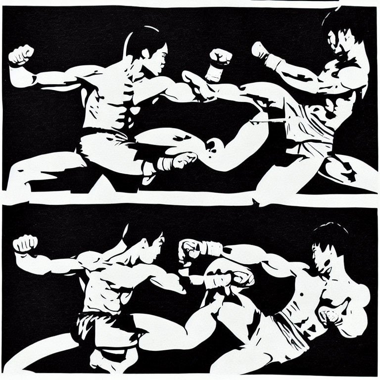 Stylized black and white panels of martial artists in combat poses