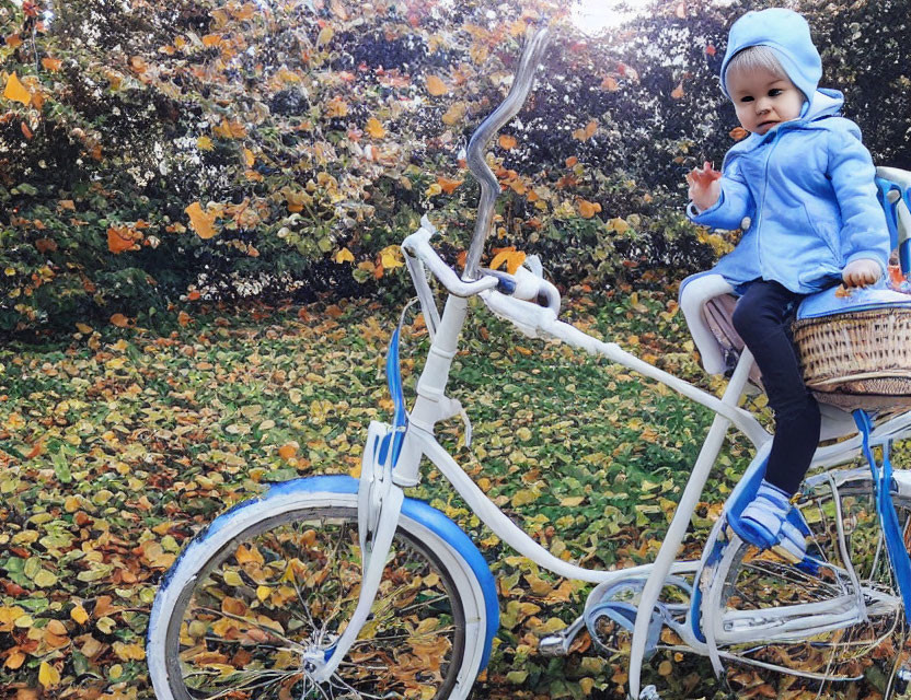 Toddler in Blue Jacket on White Bicycle in Autumn Scene