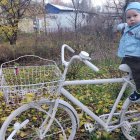 Toddler in Blue Jacket on White Bicycle in Autumn Scene