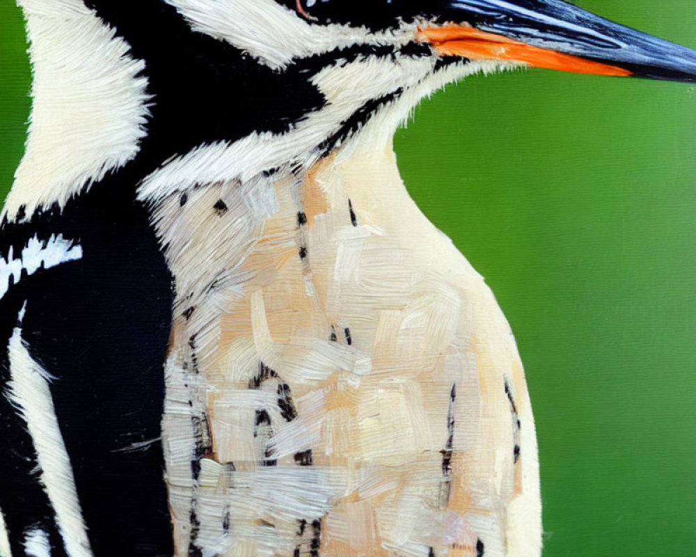 Detailed Black and White Painted Kingfisher Bird Close-Up on Green Background