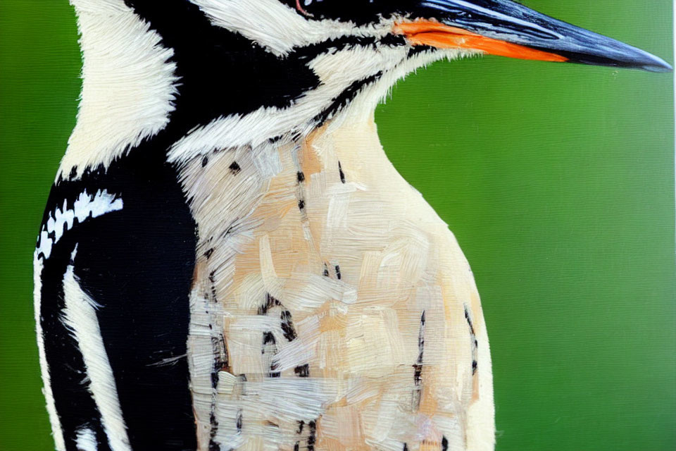 Detailed Black and White Painted Kingfisher Bird Close-Up on Green Background