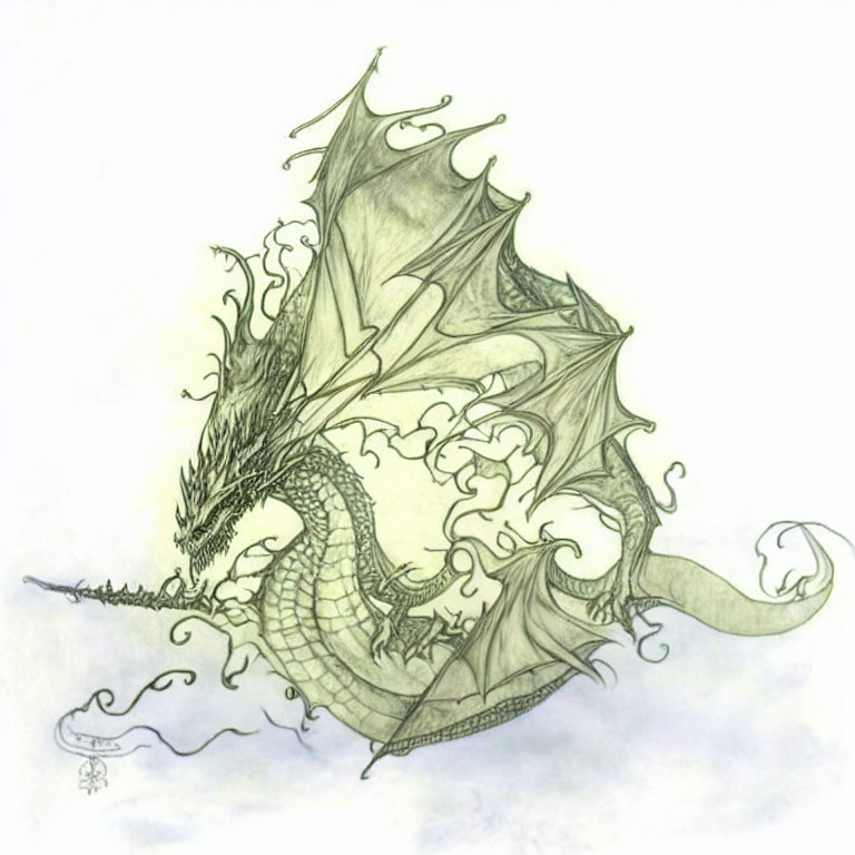 Detailed dragon sketch with expansive wings and intricate scales enveloped in delicate smoke or mist.