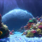 Sea Turtle Swimming Above Vibrant Coral Reef