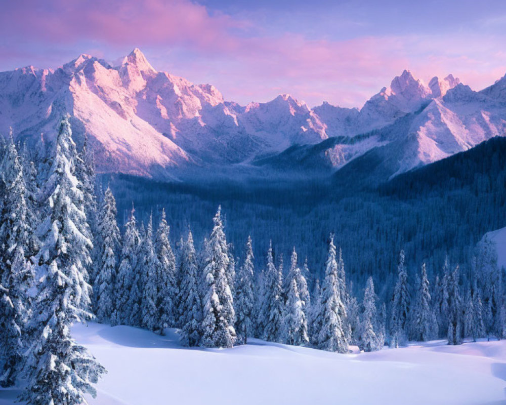 Winter forest scene with snowy trees and pink-hued mountain range at sunrise.