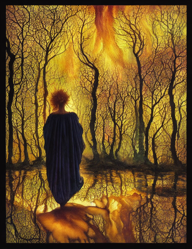 Person in Cloak Watching Fiery Phoenix in Mystical Forest
