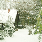 Snow-covered forest cabin in winter scene