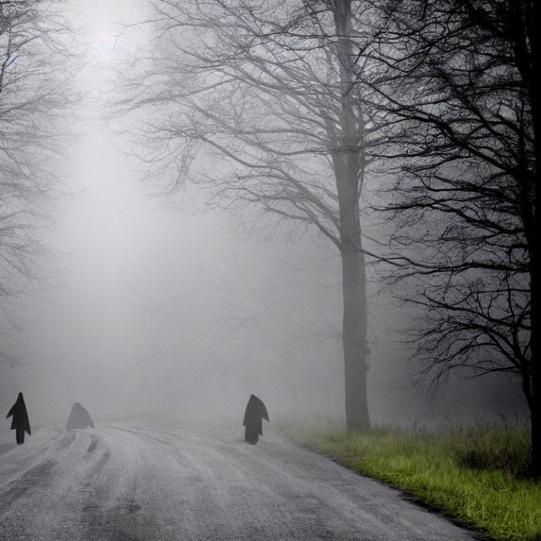 Desolate road in thick fog with bare trees and direction arrows.
