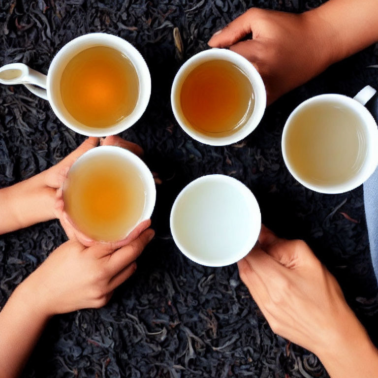 Four hands holding cups with varying tea levels on loose tea leaf backdrop