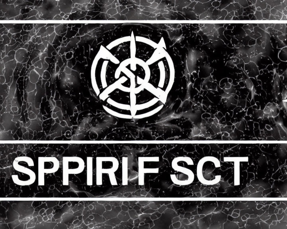 Monochrome image of crosshair symbol with arrows on abstract background and "SPIRIF SCT" text