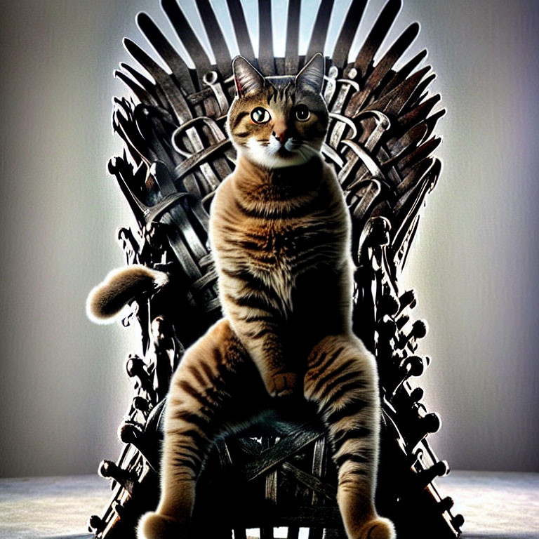 Regal cat on iron throne of swords symbolizes power