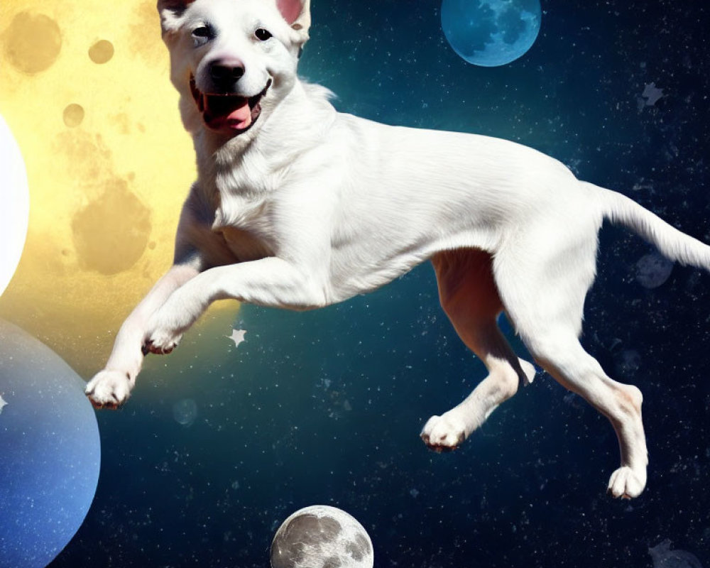 White Dog Floating in Whimsical Cosmic Space Scene