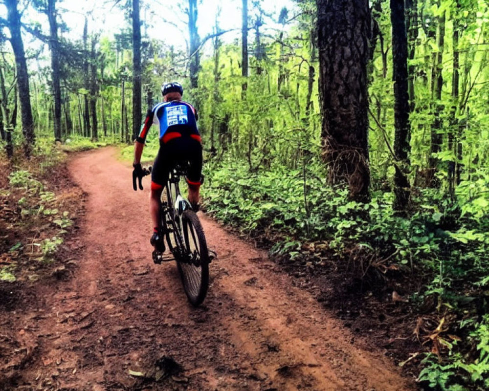 Cyclist on dirt trail in lush forest with green foliage