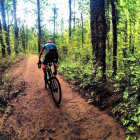 Cyclist on dirt trail in lush forest with green foliage