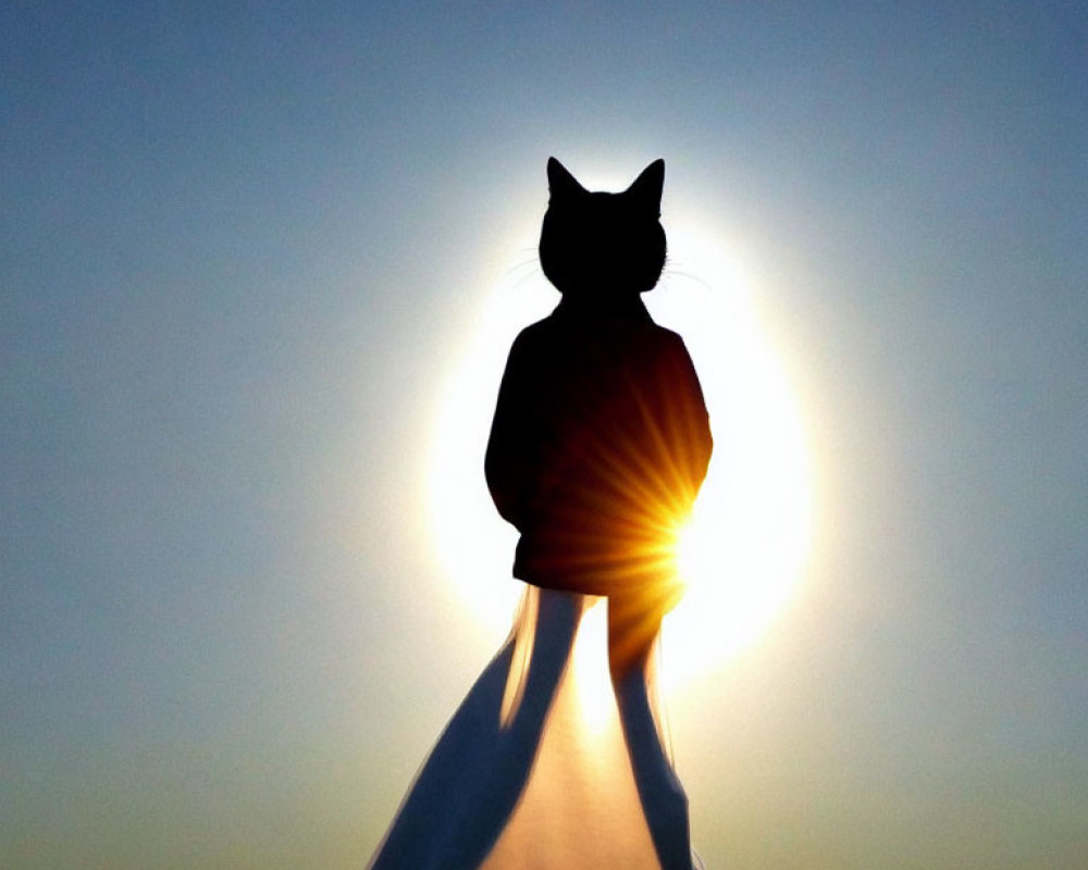 Cat silhouette perched on draped structure against radiant sunset.