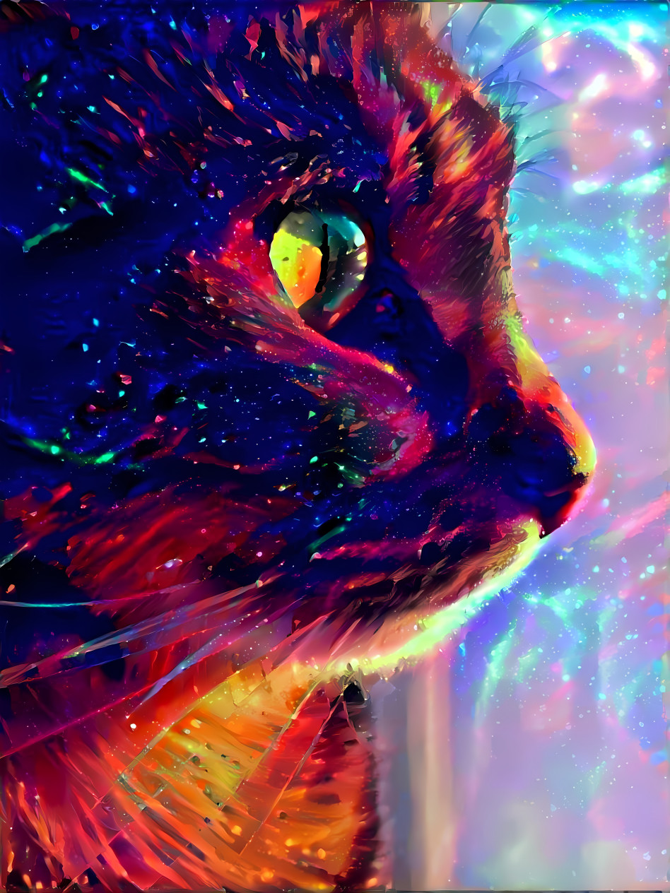 Cosmic Cat