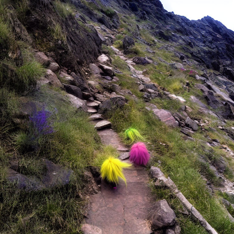 Rocky Mountain Path with Colorful Fuzzy Objects