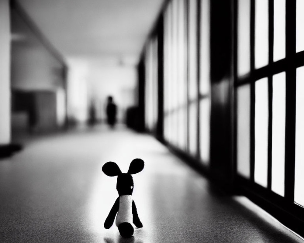 Toy dog center in hallway with silhouetted figure and shadowed window panes