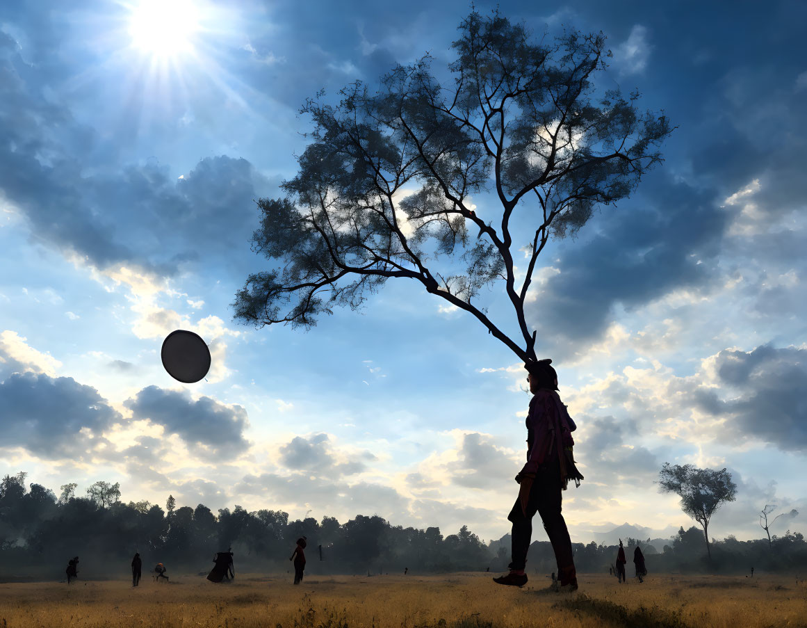 Silhouetted person playing ball under tree with cloudy sky and sun rays.