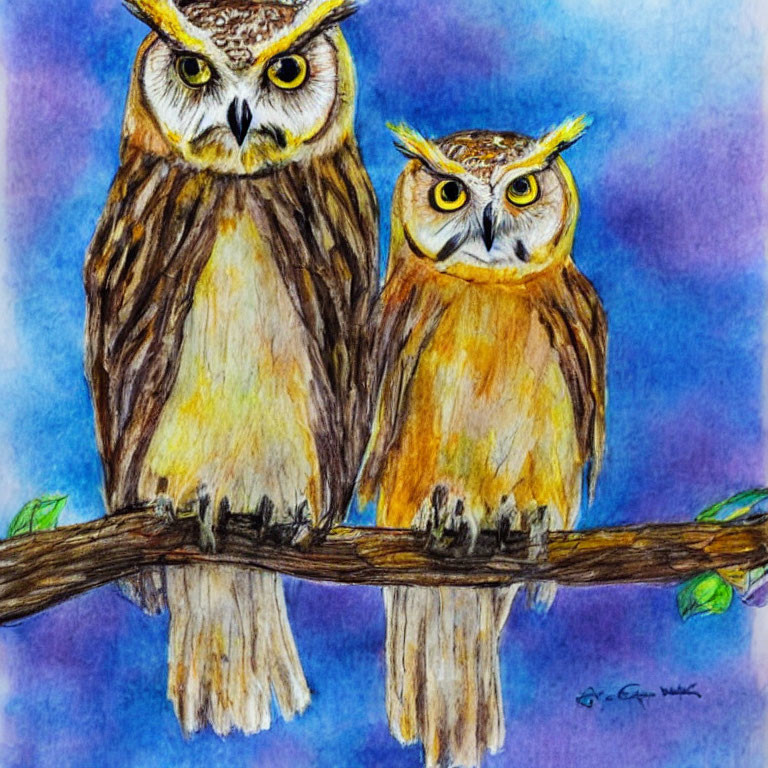 Two Owls Watercolor Painting with Intense Gazes on Branch