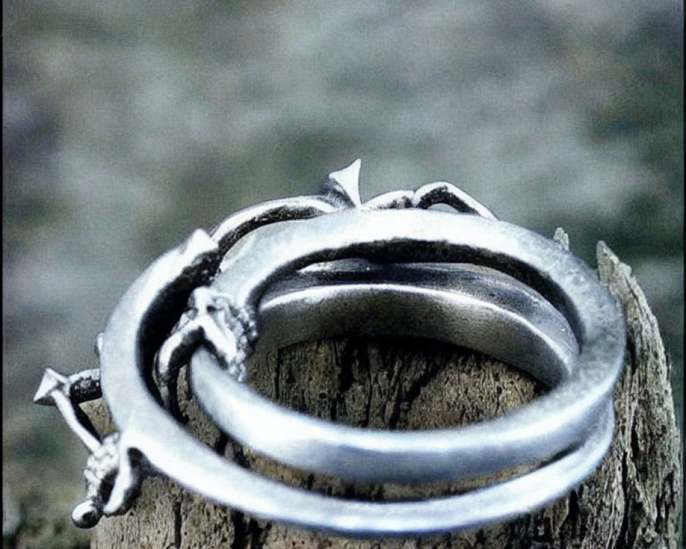 Detailed Silver Dragon Ring on Weathered Wooden Post
