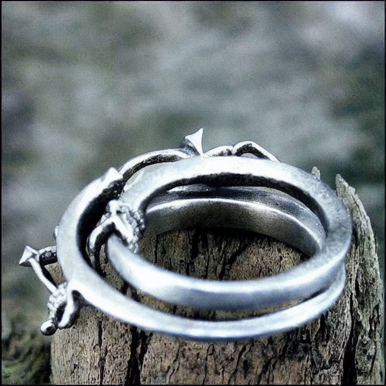 Detailed Silver Dragon Ring on Weathered Wooden Post