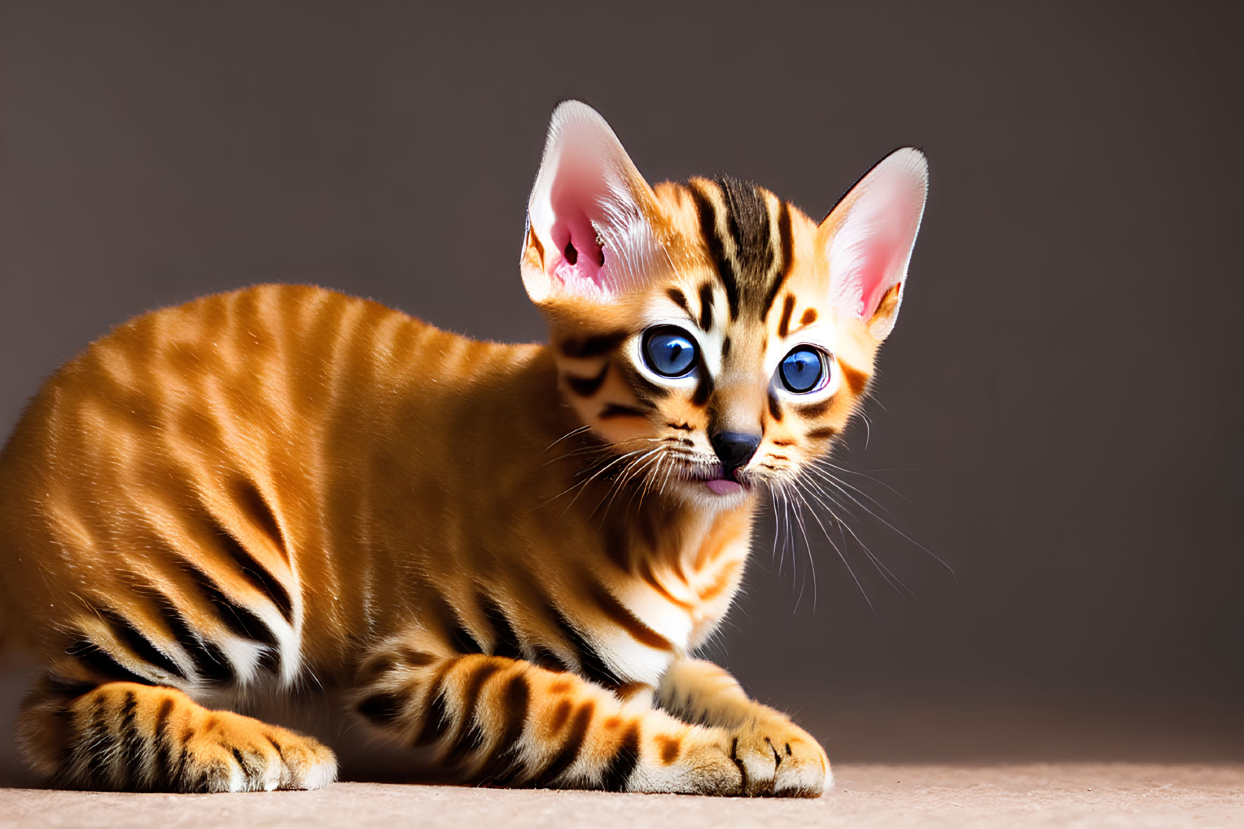 Bengal Cat with Unique Coat Patterns and Blue Eyes on Neutral Background