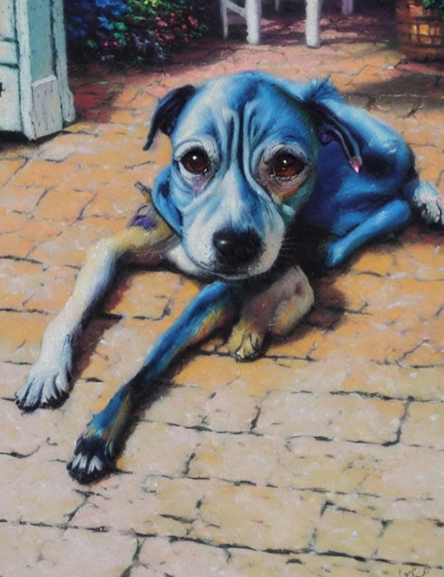 Blue-Eyed Dog Resting on Brick Pavement with Soft Pastel Hues