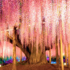 Enchanting Grove with Pink Cherry Blossoms and Glowing Lights
