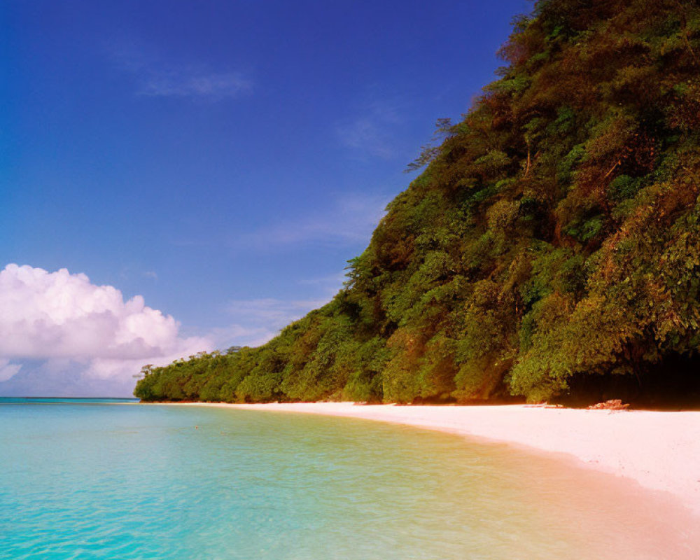 Scenic Tropical Beach with Clear Blue Water and White Sand