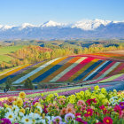 Colorful Landscape with Rolling Hills, Flowers, Balloons, Lake, and Mountains