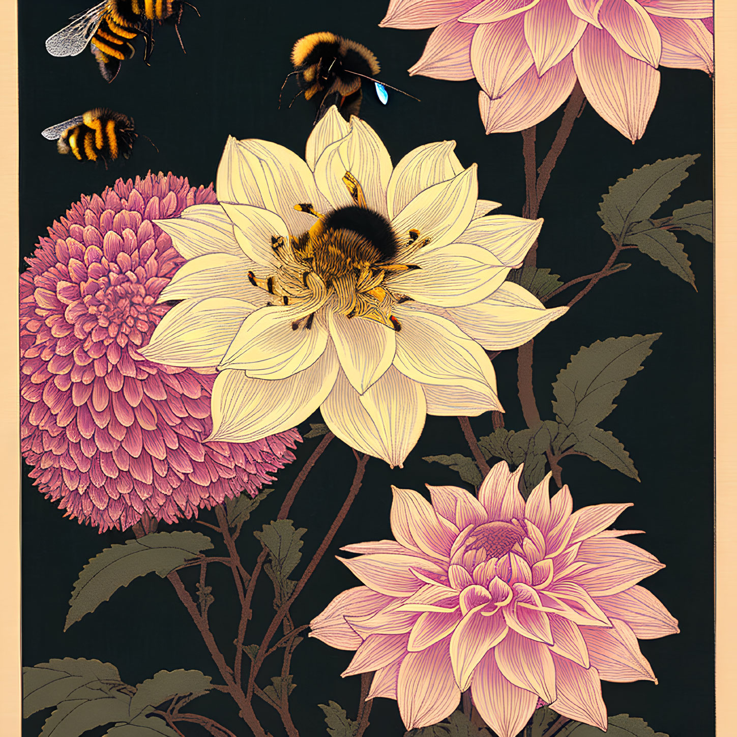 Detailed Pink Blooms and Bees Illustration on Dark Background