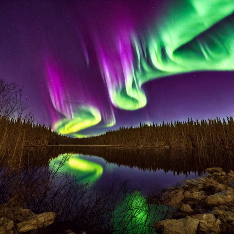 Colorful Aurora Borealis Reflecting Over Forest Lake