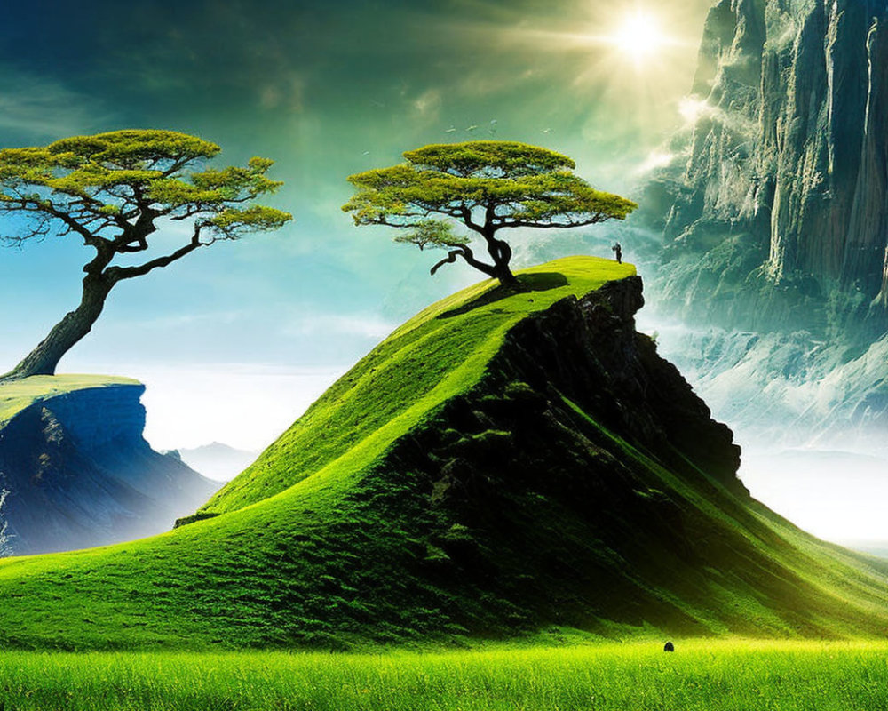 Solitary trees on green hills under radiant sun with cliffs and small figure