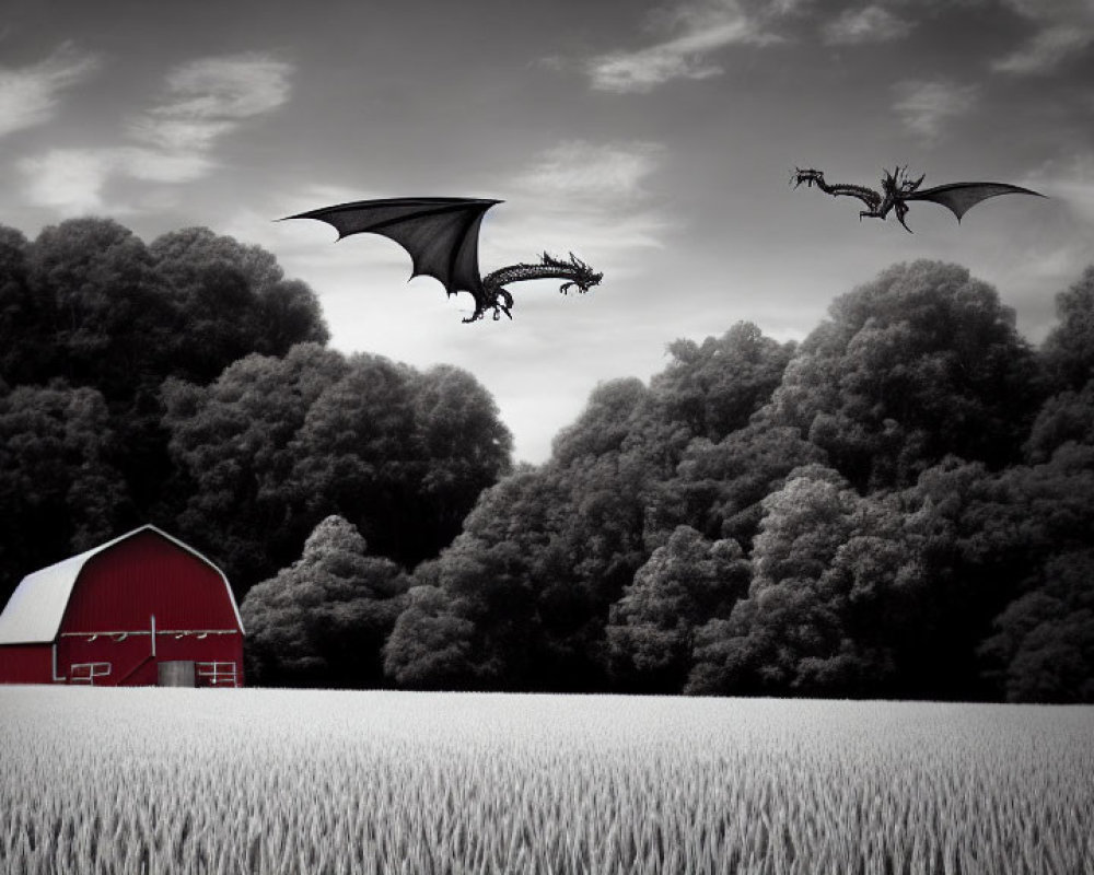 Monochrome photo: Red barn in field with dragons and trees