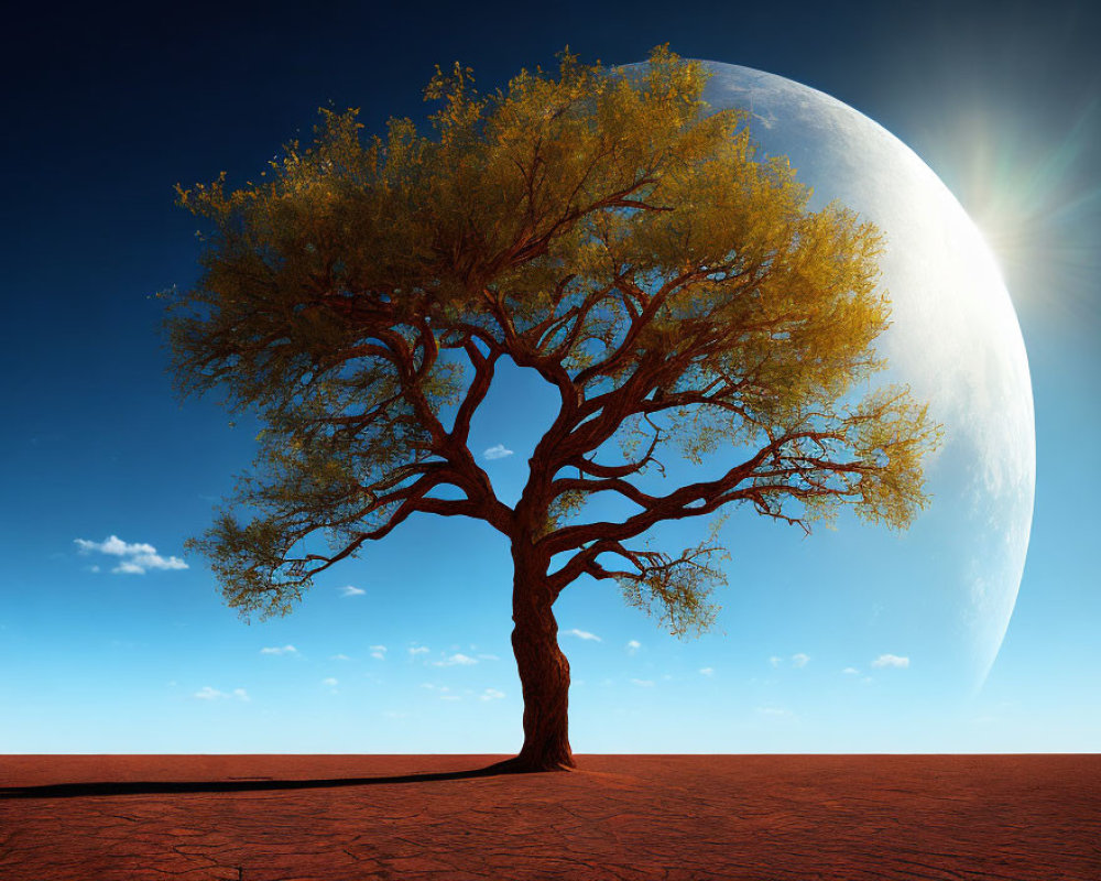 Golden-leaved lone tree on cracked earth under large moon and blue sky