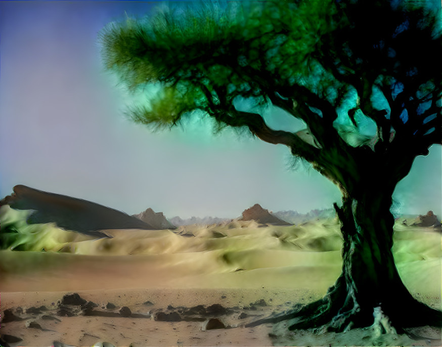 tree of life in a empty desert