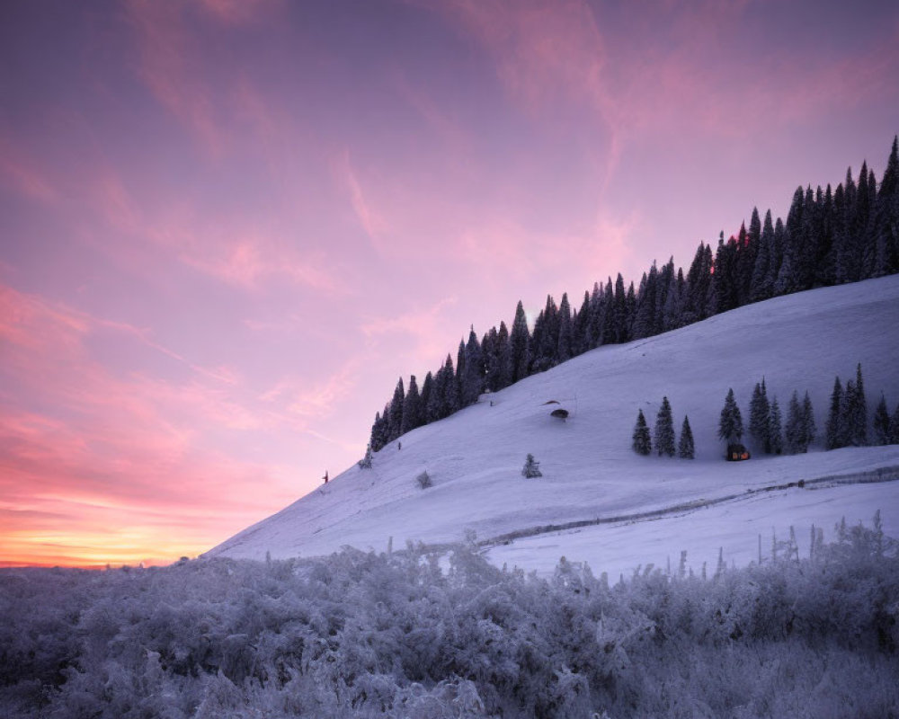 Winter scene: snowy hillside, conifer trees, pink sunrise sky, cozy cabin window glow.