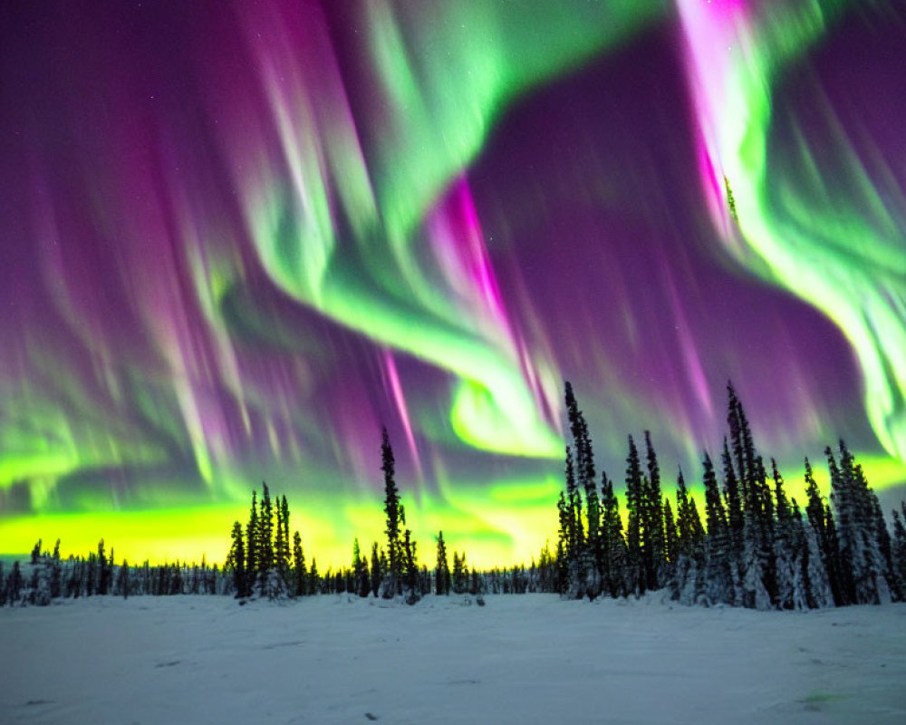 Vibrant Green and Purple Aurora Borealis Lights in Snowy Night Sky