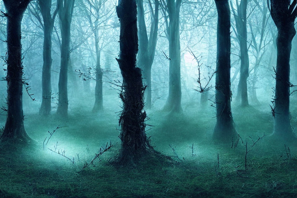 Mystical foggy forest with slender trees and blue-hued ambiance