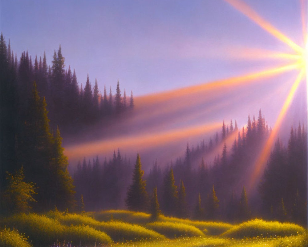 Sunrise painting with light rays in misty forest and yellow flowers