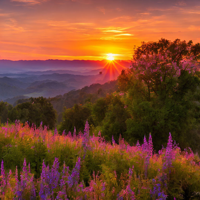 Colorful sunset over layered landscape with greenery and wildflowers