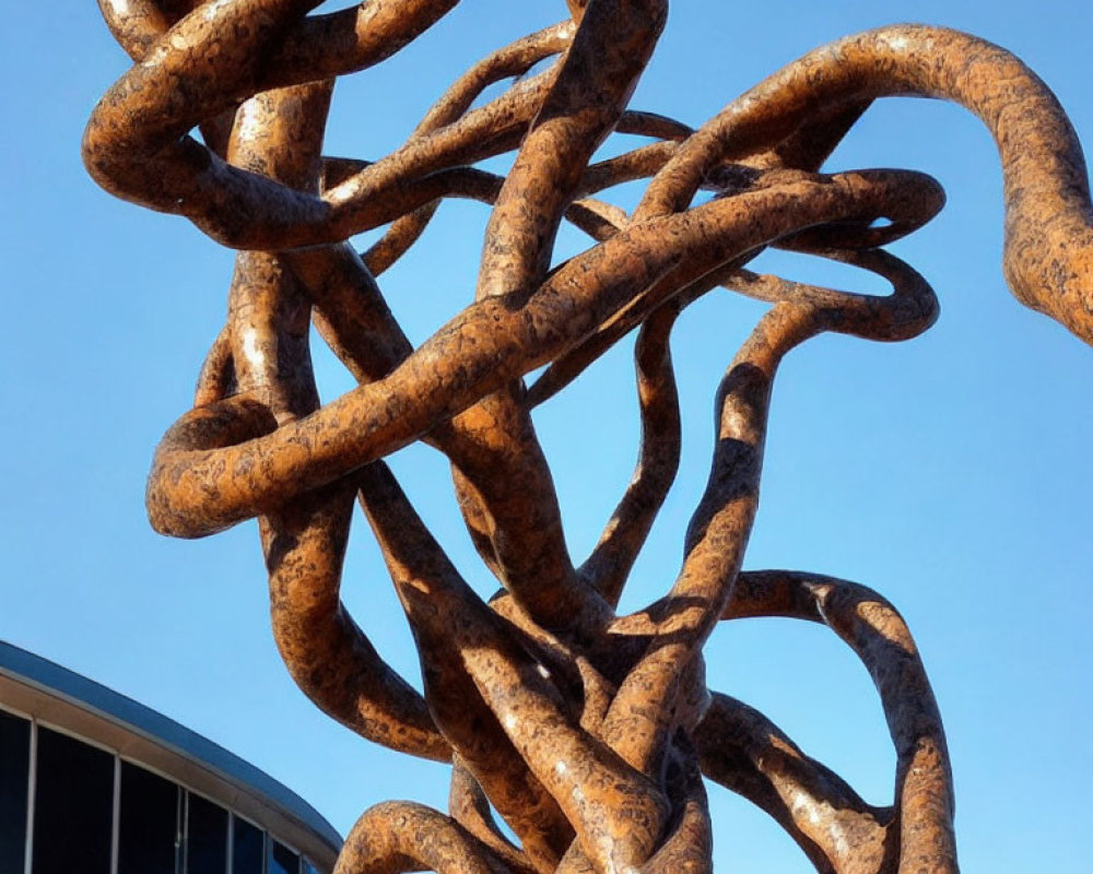 Rustic metal sculpture of intertwining loops under clear blue sky