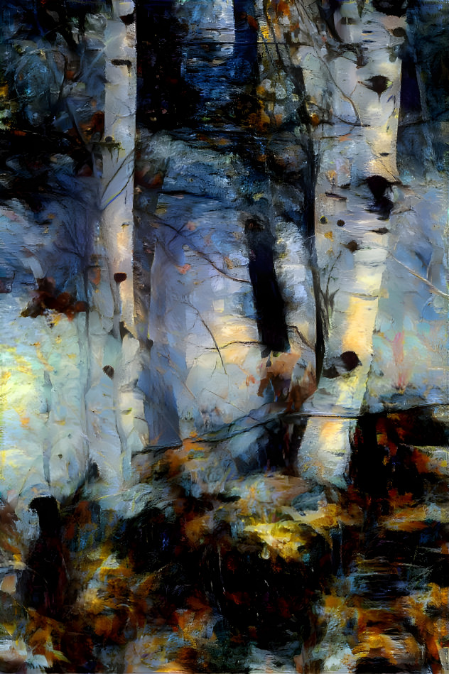 Birches in Twilight