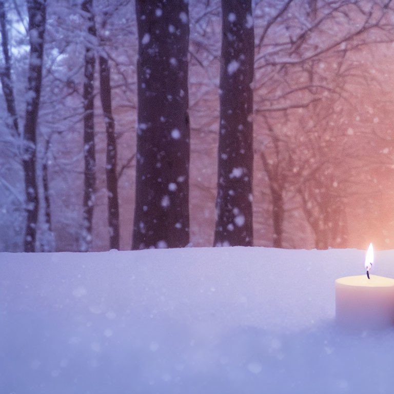 Snowy Twilight Scene: Bright Candle Against Glowing Trees